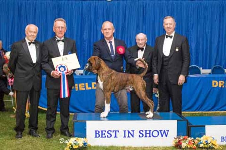 Driffield Ch Dog Show Driffield, Show